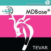 LogoTevar