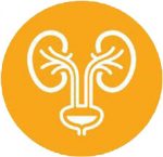 Urology